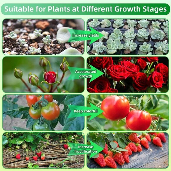 360° LED Grow Light for Indoor Plants - Full Spectrum, USB-Powered, 10-Level - Picture 6 of 9